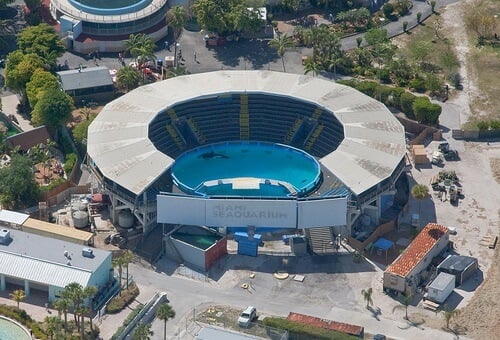 Orca Whale Show at Seaquarium