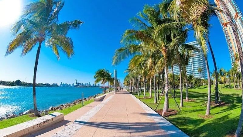 How to spend three days in Miami: the ultimate itinerary