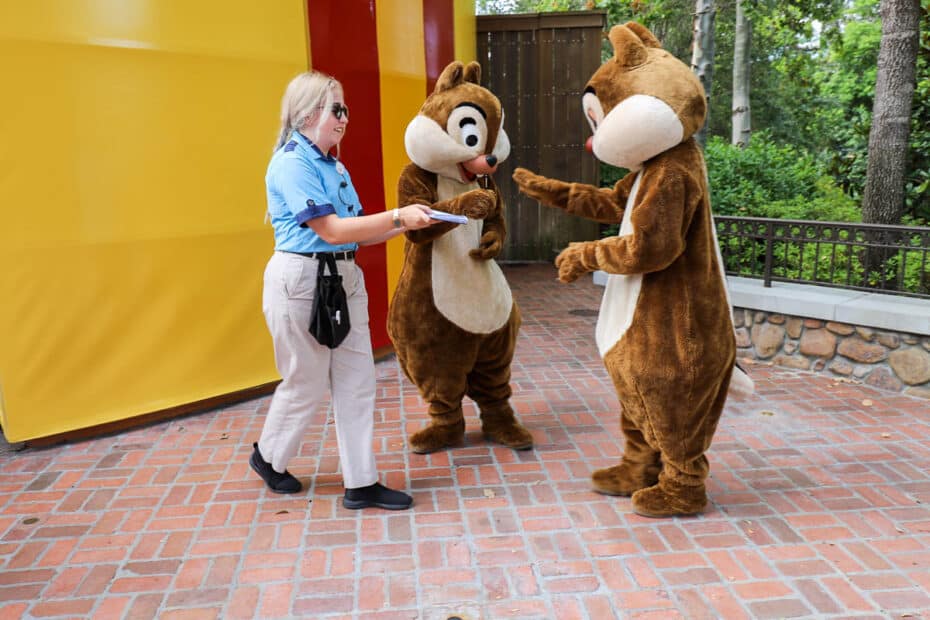 Where to meet characters in Disney World: Chip and Dale
