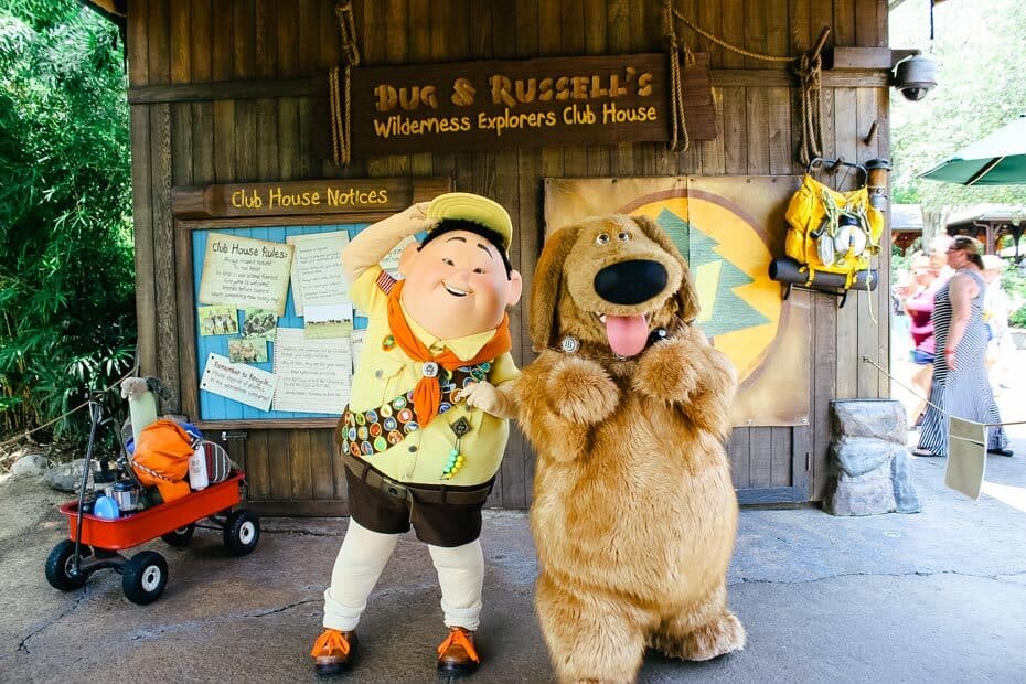 Where to meet characters in Disney World: UP!